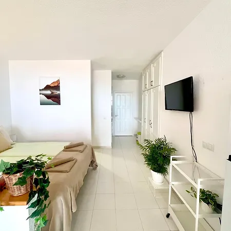 Palm Vista Lejlighed *