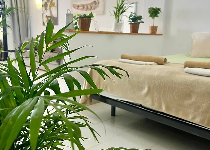 Apartmán Palm Vista