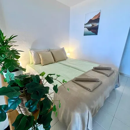 Palm Vista דירה אדחה
