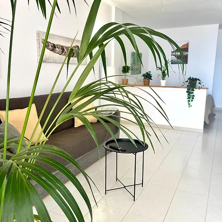 Palm Vista Апартаменты *