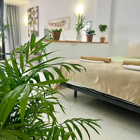 דירה Palm Vista