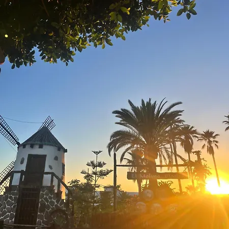 Appartamento Palm Vista