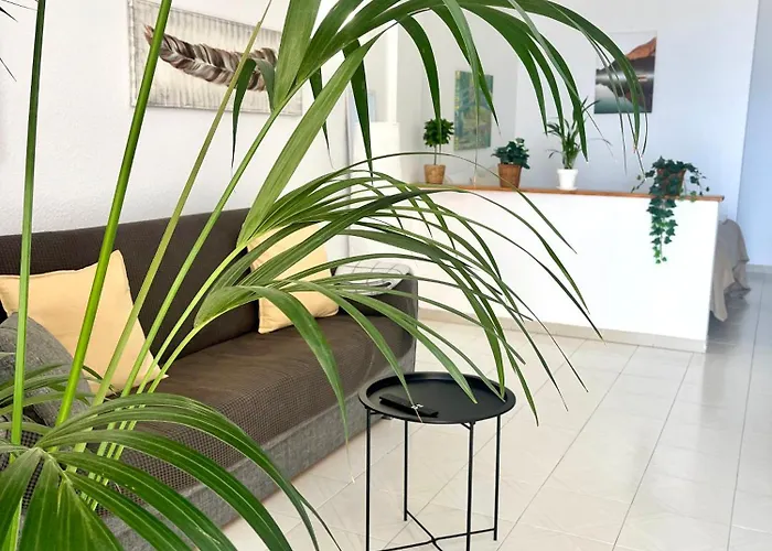 Palm Vista Апартаменти *